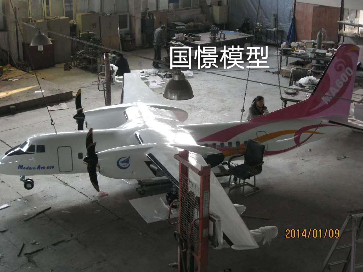 商南县飞机模型